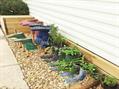 Rew Farm Country Accommodation Gallery (109)
