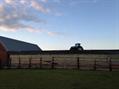 Rew Farm Country Accommodation Gallery (12)