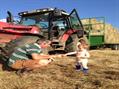 Rew Farm Country Accommodation Gallery (125)