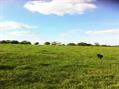 Rew Farm Country Accommodation Gallery (127)