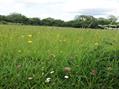 Rew Farm Country Accommodation Gallery (128)