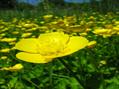 Rew Farm Country Accommodation Gallery (129)