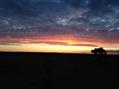Rew Farm Country Accommodation Gallery (132)