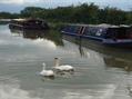 Rew Farm Country Accommodation Gallery (134)