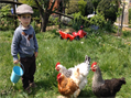 Rew Farm Country Accommodation Gallery (145)