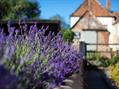 Rew Farm Country Accommodation Gallery (19)