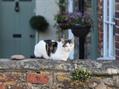Rew Farm Country Accommodation Gallery (20)