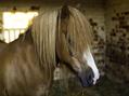 Rew Farm Country Accommodation Gallery (30)