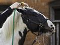 Rew Farm Country Accommodation Gallery (42)