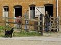 Rew Farm Country Accommodation Gallery (6)