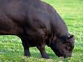 Rew Farm Country Accommodation Gallery (64)