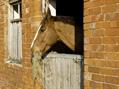Rew Farm Country Accommodation Gallery (73)