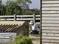 Rew Farm Country Accommodation Gallery (9)