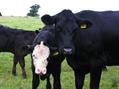 Rew Farm Country Accommodation Gallery (92)