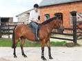 Rew Farm Country Accommodation Gallery (96)